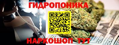 шишки Гусиноозёрск
