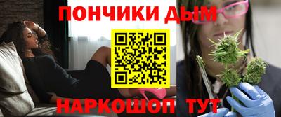 шишки Гусиноозёрск
