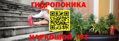 МДПВ Гусев