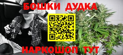 шишки Гусиноозёрск