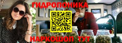 шишки Гусиноозёрск