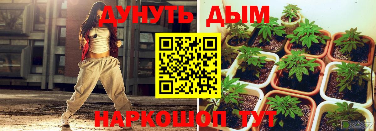 Курганинск  Марихуана VHQ  Вход с VPN  Каннабис индика  Марихуана план 